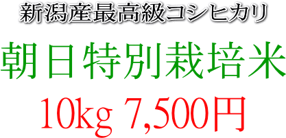 10kg 7,500~