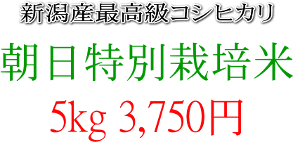 5kg 3,750~