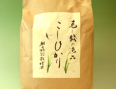 朝日特別栽培米コシヒカリ10kg
