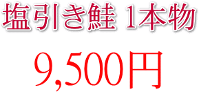  1{ 9,500~